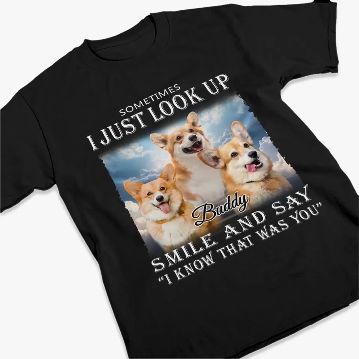 66666829641dc_large