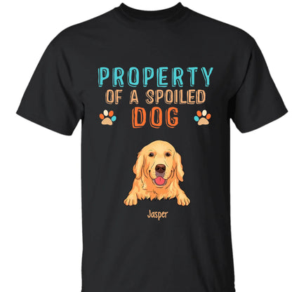 63ad30646c00f_large
