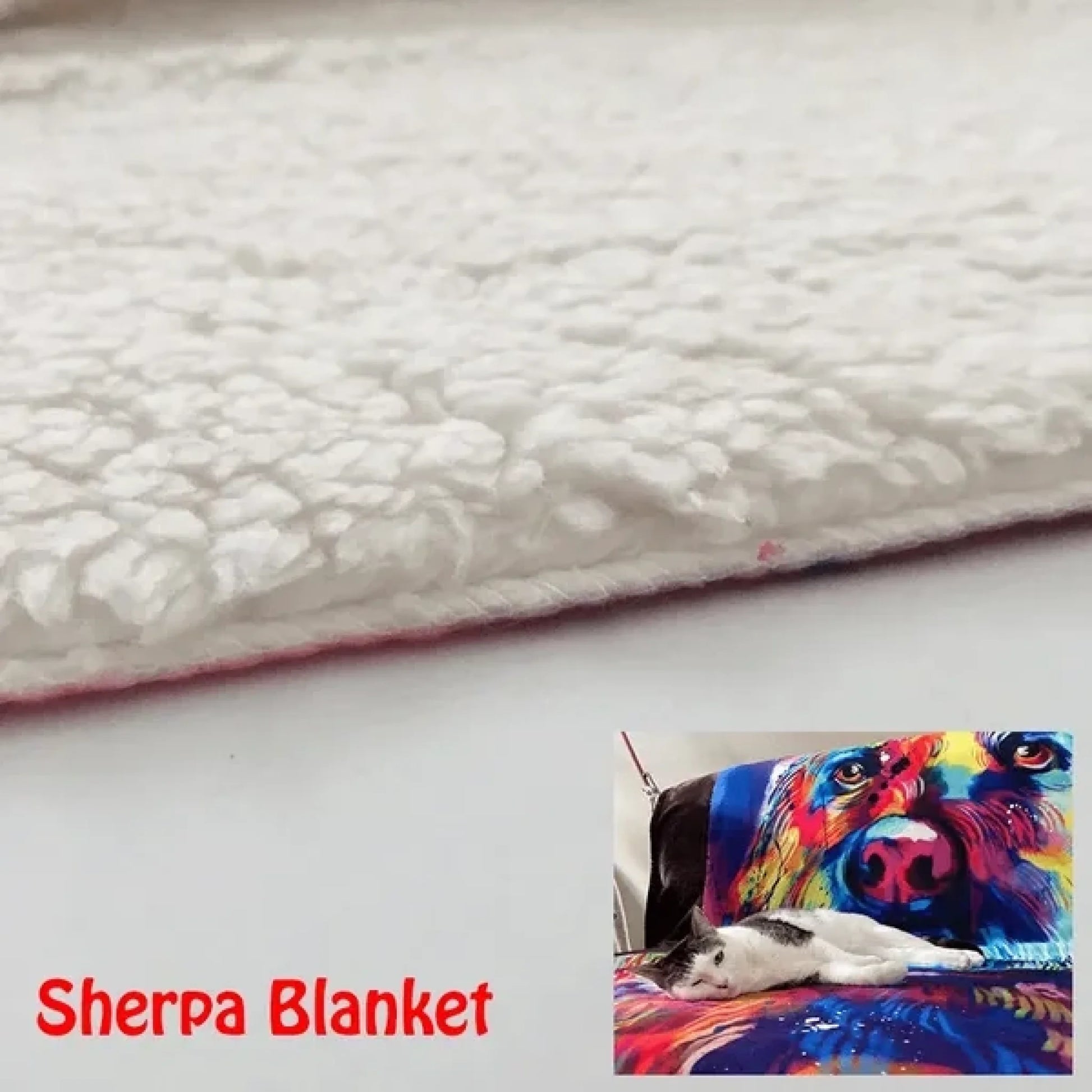 6161161c3d83b_large