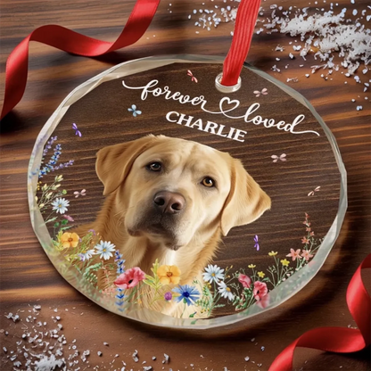 68f70b22a1281_large